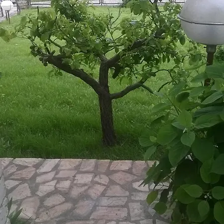 Elina * Balchik